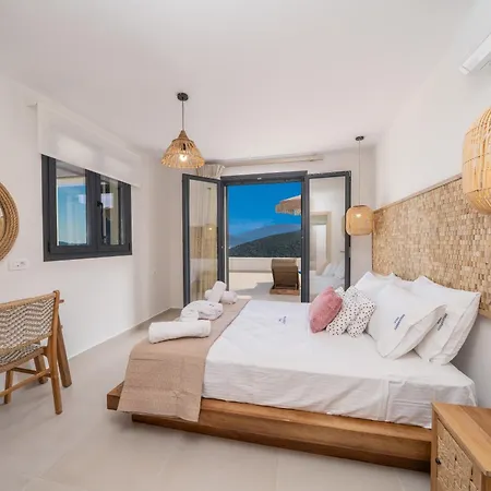 Ionian Infinity Βίλα *